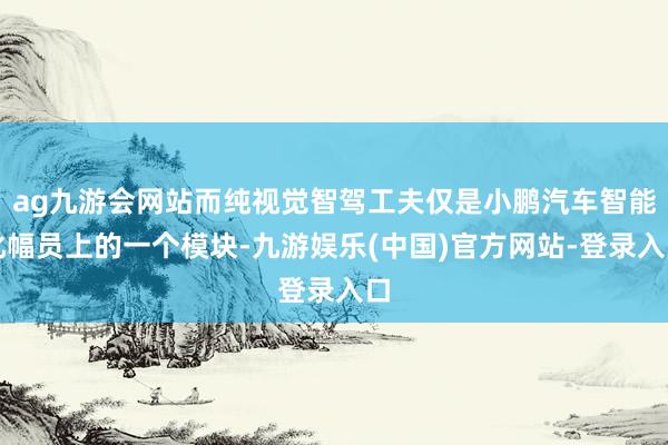 ag九游会网站而纯视觉智驾工夫仅是小鹏汽车智能化幅员上的一个模块-九游娱乐(中国)官方网站-登录入口