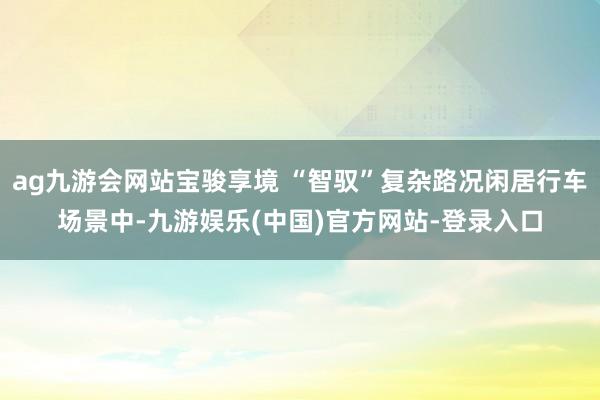ag九游会网站宝骏享境 “智驭”复杂路况闲居行车场景中-九游娱乐(中国)官方网站-登录入口
