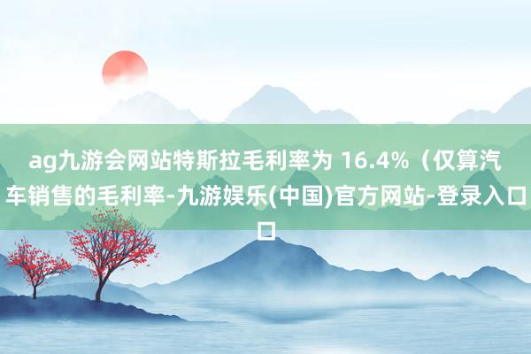 ag九游会网站特斯拉毛利率为 16.4%（仅算汽车销售的毛利率-九游娱乐(中国)官方网站-登录入口